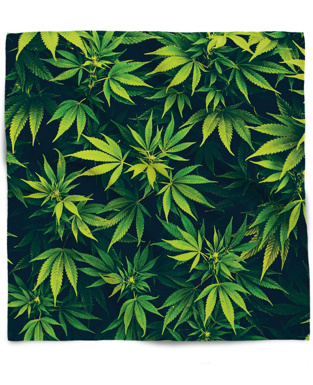 Weed Bandana - Store.ml